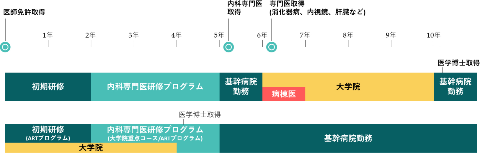消化器内科でのキャリア形成のモデルケース