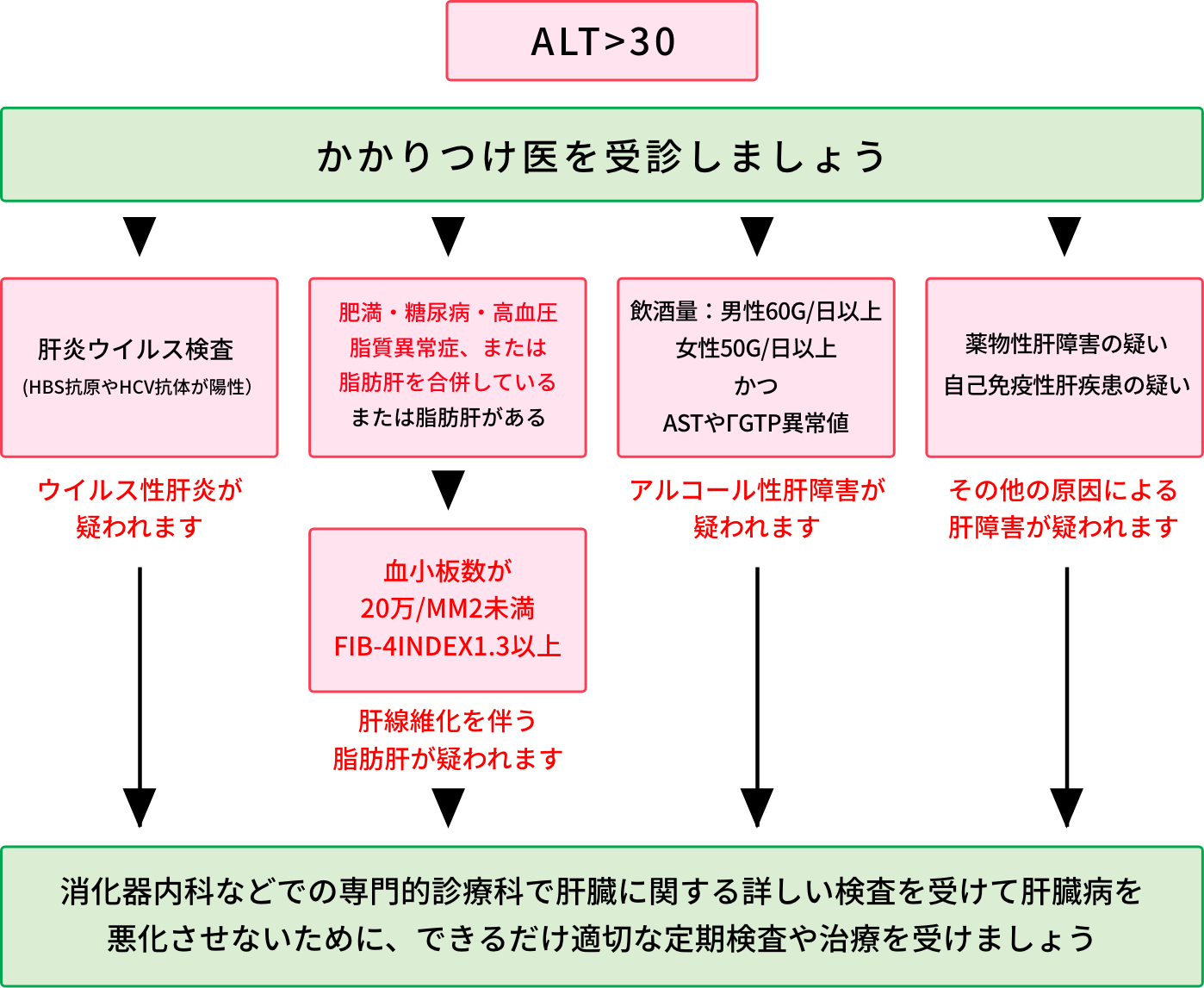 脂肪肝専門外来について