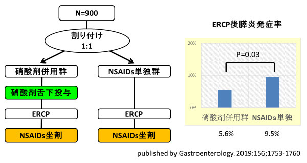 ERCP後膵炎に対するNSAIDs坐剤単独投与とNSAIDs坐剤+硝酸剤併用による膵炎予防効果の比較